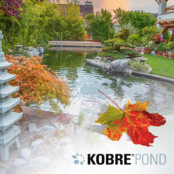 Herbstzauber am Teich